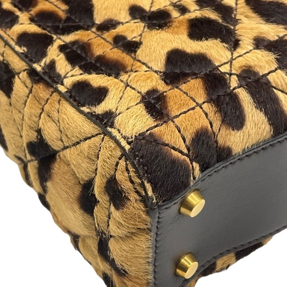 Christian Dior Dior Mini Leopard Handbag - Picture 7 of 12